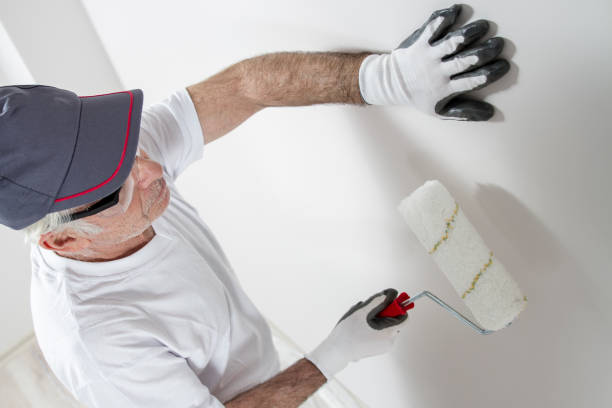 Reliable Ithaca, NY Dry wall and painting Solutions